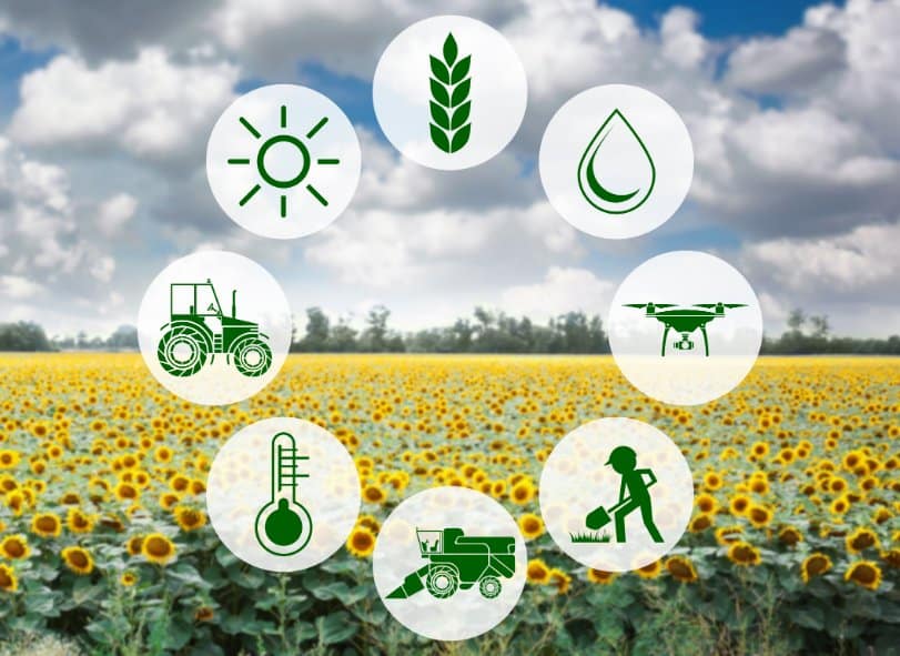 découvrez les principaux avantages de l'agriculture pour la santé en 2025. analyse des pratiques durables, de l'impact sur la nutrition et des bénéfices pour l'environnement, tout en explorant comment ces transformations améliorent la qualité de vie.