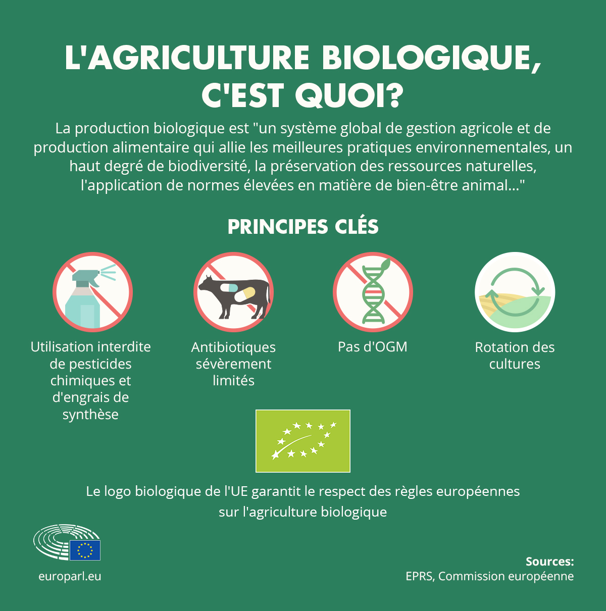découvrez comment l'agriculture de demain, en 2025, offre des avantages significatifs pour la santé. explorez les innovations durables qui améliorent la qualité de notre alimentation et favorisent un mode de vie sain, tout en préservant notre environnement.
