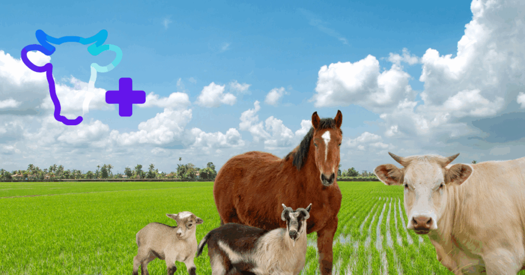 découvrez comment les avancées agricoles de 2025 influencent la santé, la sécurité alimentaire et le bien-être. analyse des tendances, innovations et impacts sur la nutrition en france.