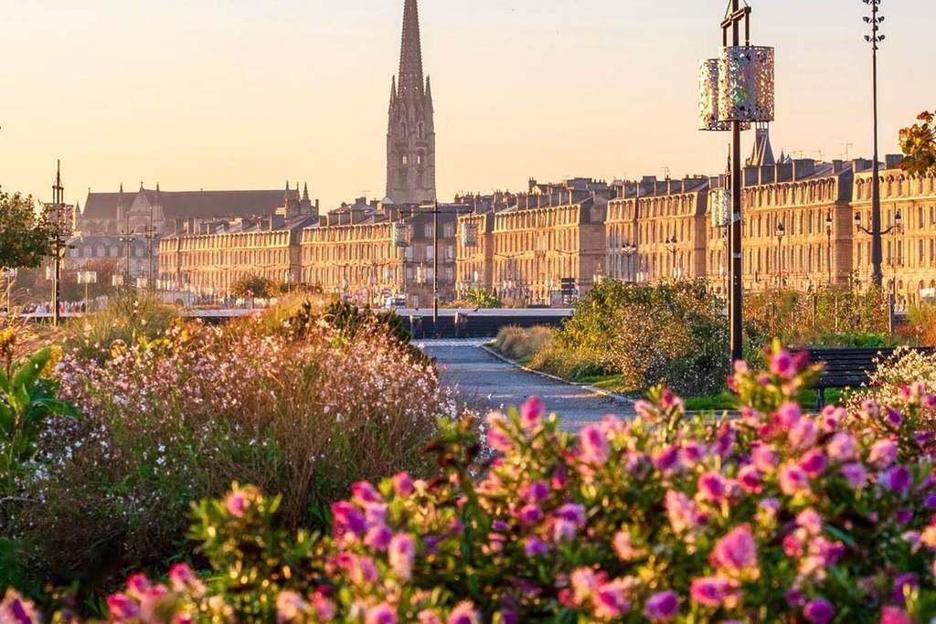découvrez tous les services proposés par la lmde à bordeaux en 2025 : adhésion, couverture santé, accompagnement étudiant et informations pratiques pour bien préparer votre année universitaire.
